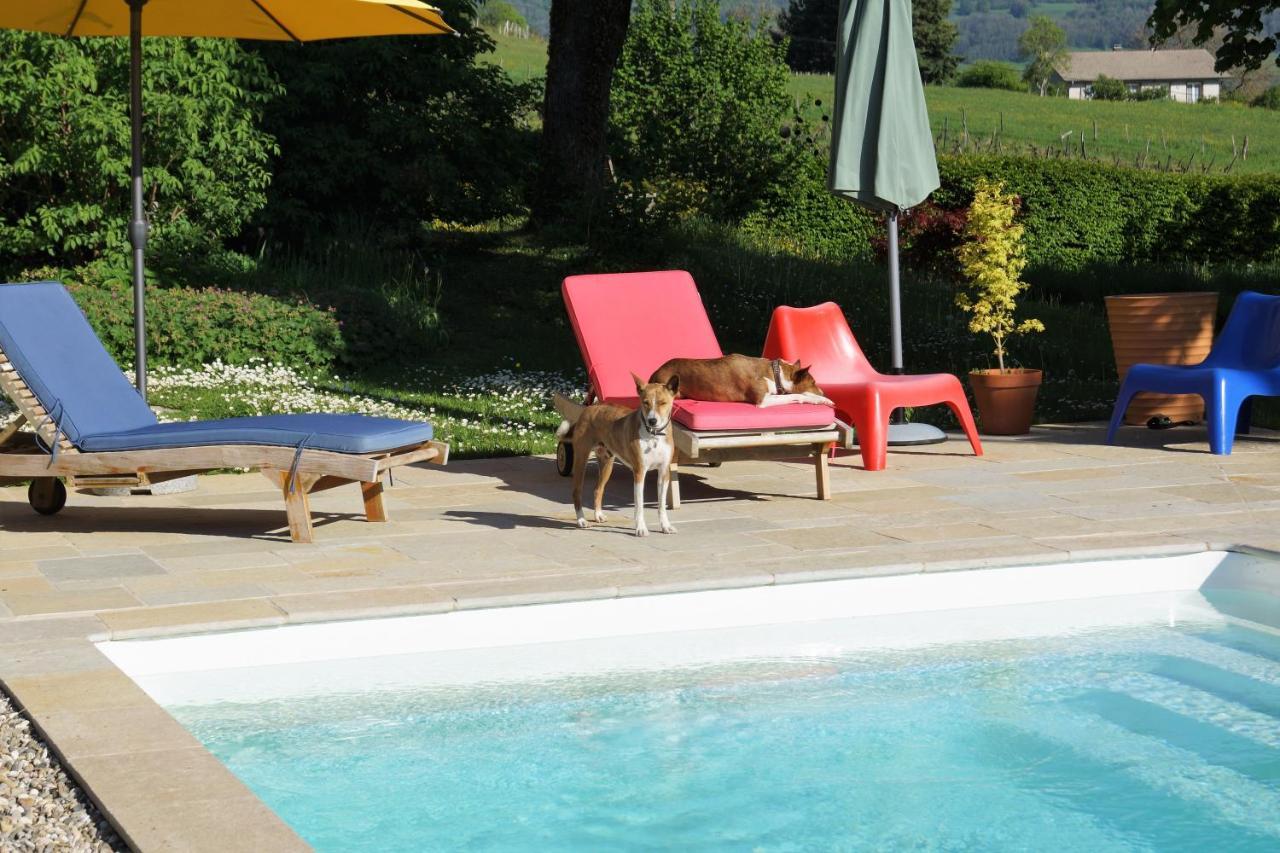 Domaine De Saint Loth' Bed and Breakfast Eksteriør billede