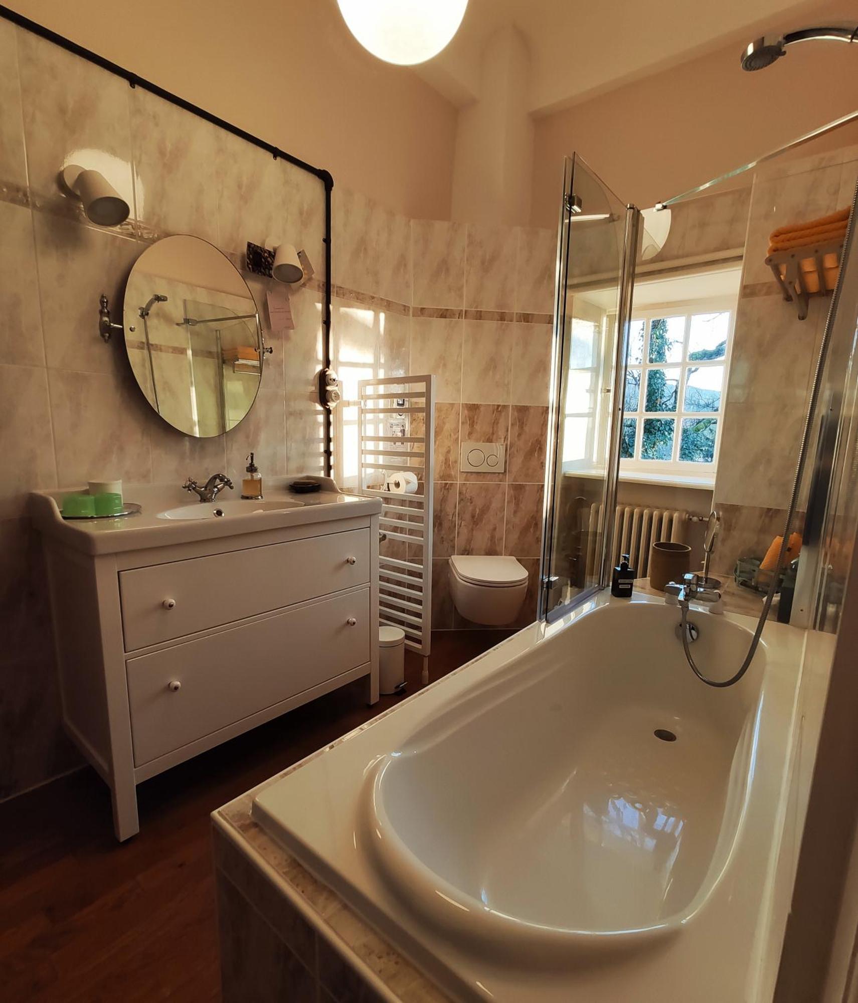 Domaine De Saint Loth' Bed and Breakfast Værelse billede